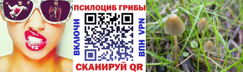Псилоцибиновые грибы мухоморы  Купить  Тихорецк 